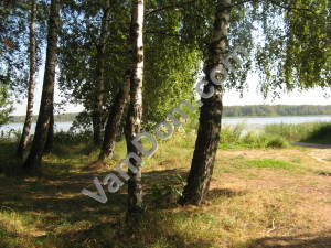 ������� ��� ����������