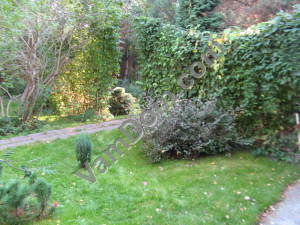 ������� ��� ����������