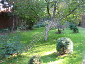 ������� ��� ����������