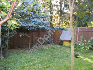 ������� ��� ����������